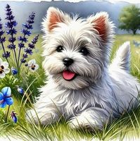 Diamond Painting West Highland Terrier-92-40x40-1225