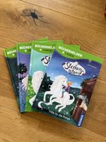 Bücherhelden / 1. Kl. Sternenschweif 4er Set neuwertig