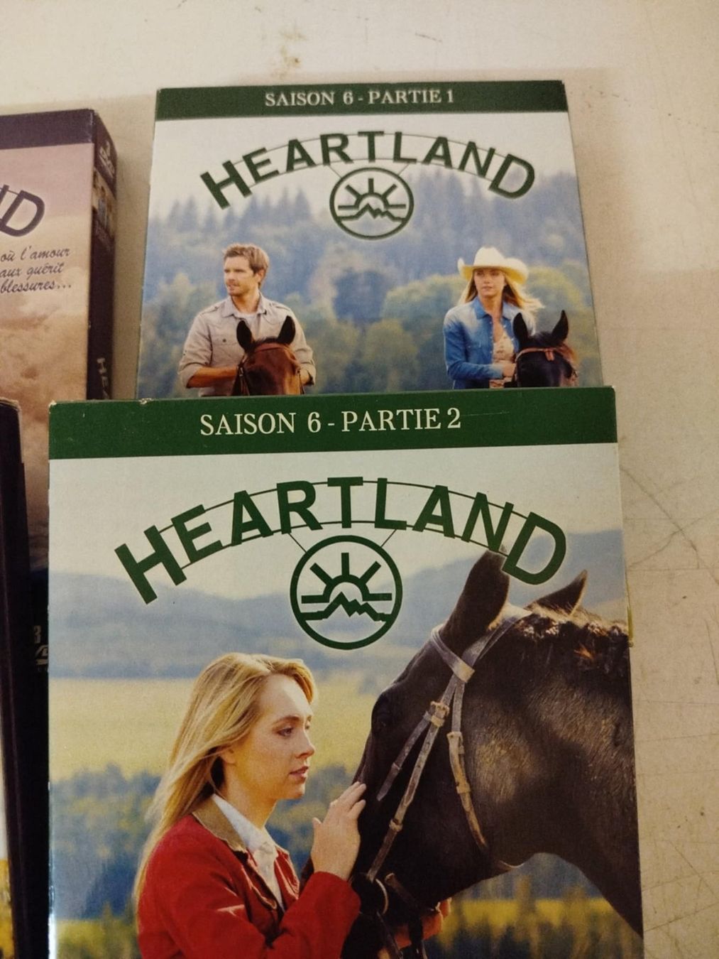 Tutti i DVDs: Dvd Heartland 1-8 – Usato da La Chaux-de-Fonds venduto da Emmaus2300CDF 3
