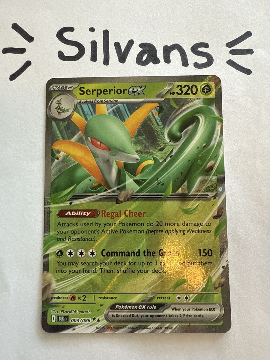 Pokémon Carte collezionabili: Serperior ex 003/086 Black Bolt Englisch – Nuovo (secondo la descrizione) da Wil SG venduto da Silvans