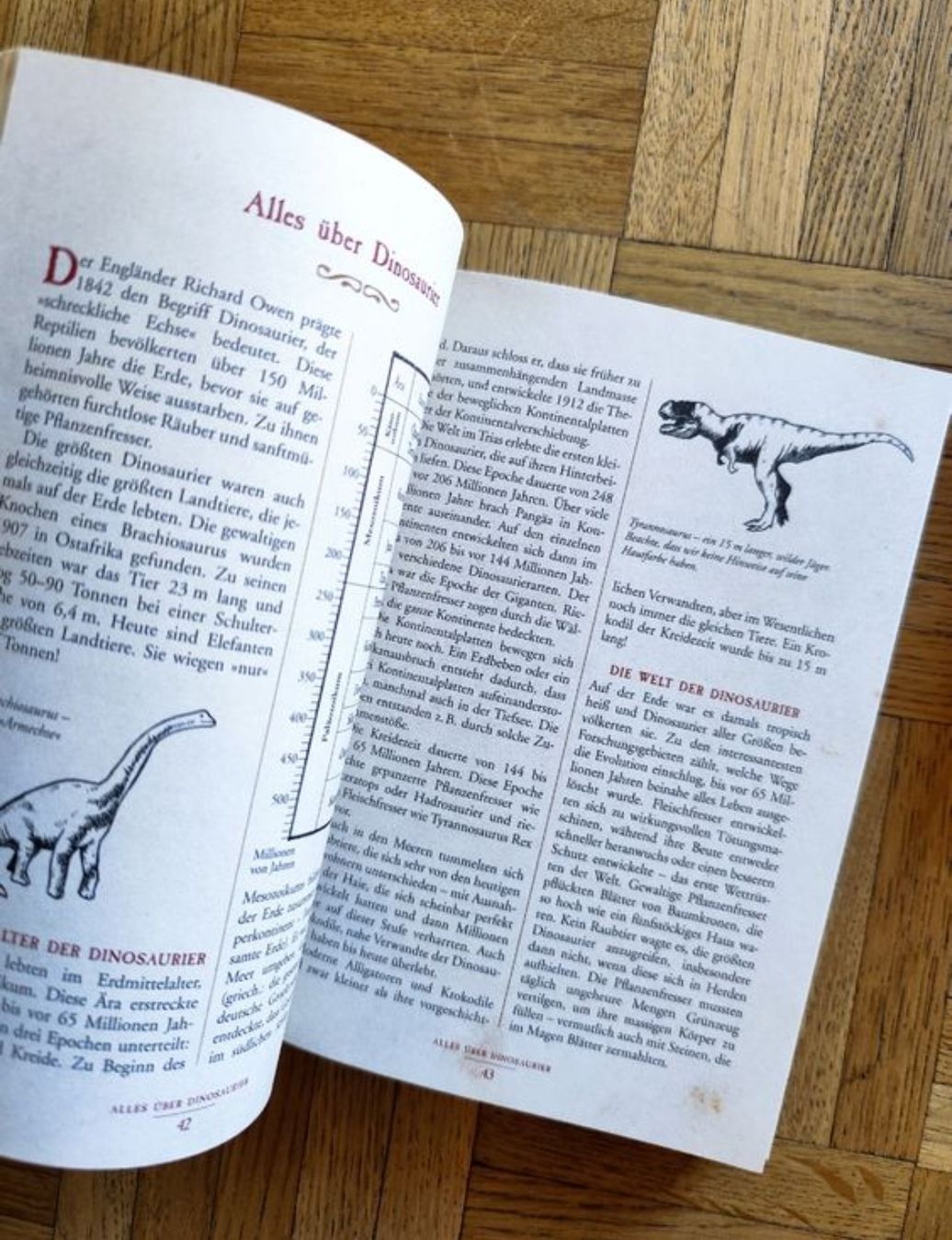 Libri: The Dangerous Book for Boys Iggulden – Usato da Mägenwil venduto da VintageGirly 4