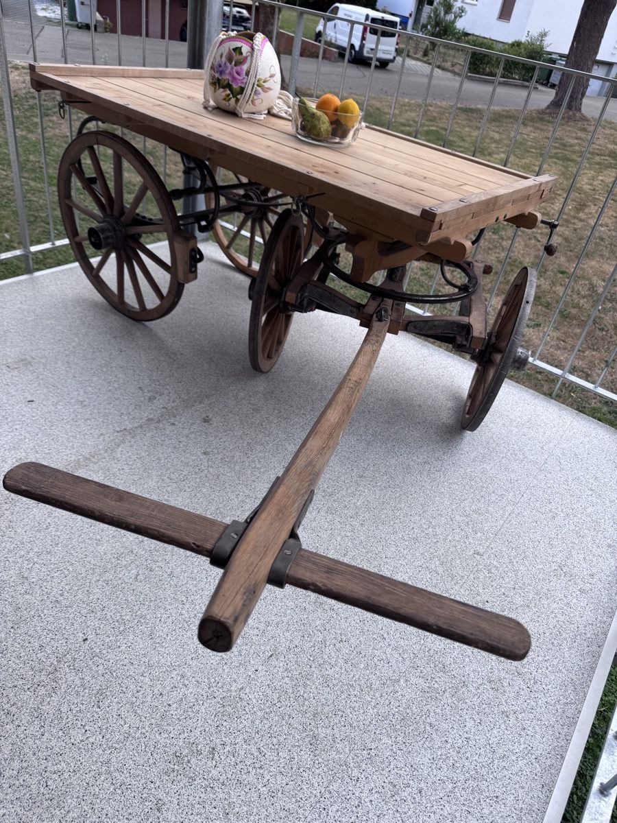 Articoli in legno: Holzwagen – Usato da Zuchwil venduto da csi_q9mz 9