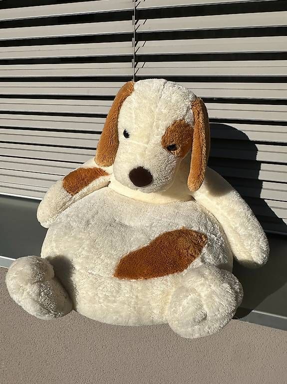 Giocattoli: Vendo poltrona Cane Peluche per bambini – Usato da Pregassona venduto da Togneri