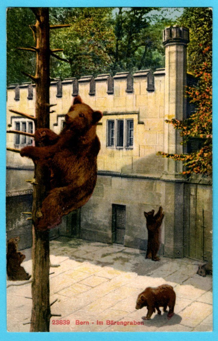Cartoline postali: Bärengraben 1922 koloriert – Usato da Zürich venduto da Sion2006