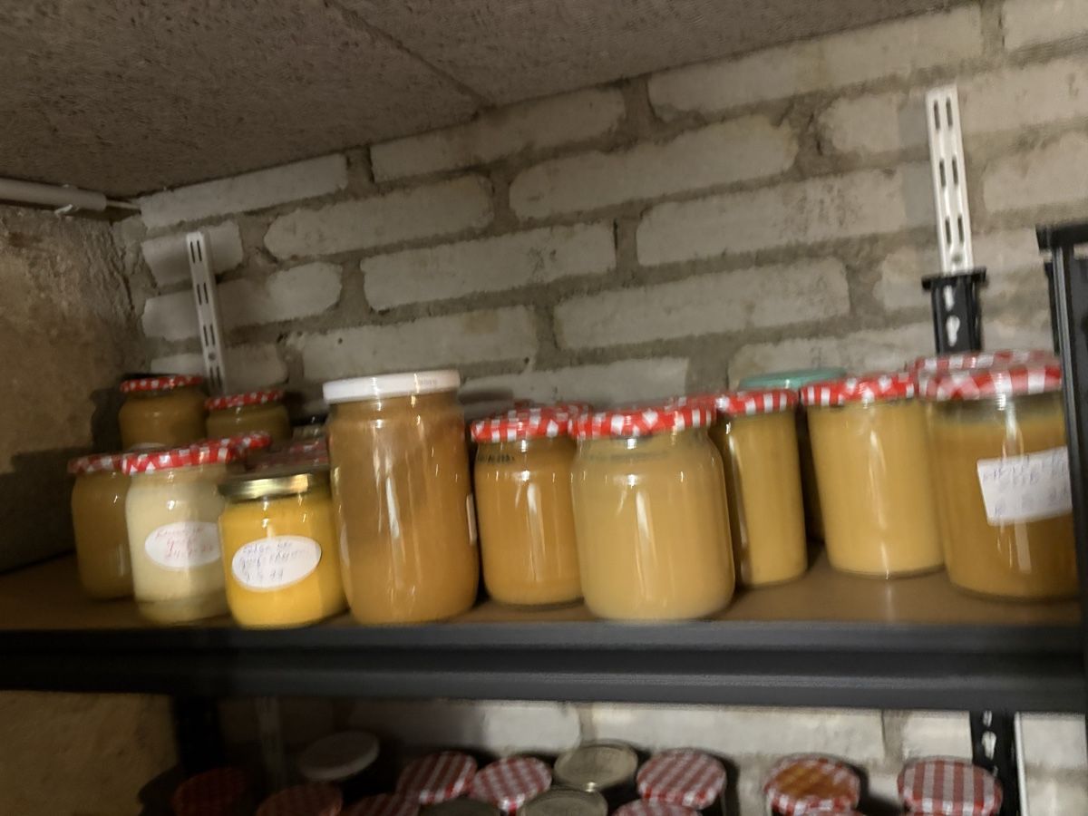 Recipients et similaires: Einmachgläser Konfitüre Gläser – D'occasion à Zürich par SwissMarket24