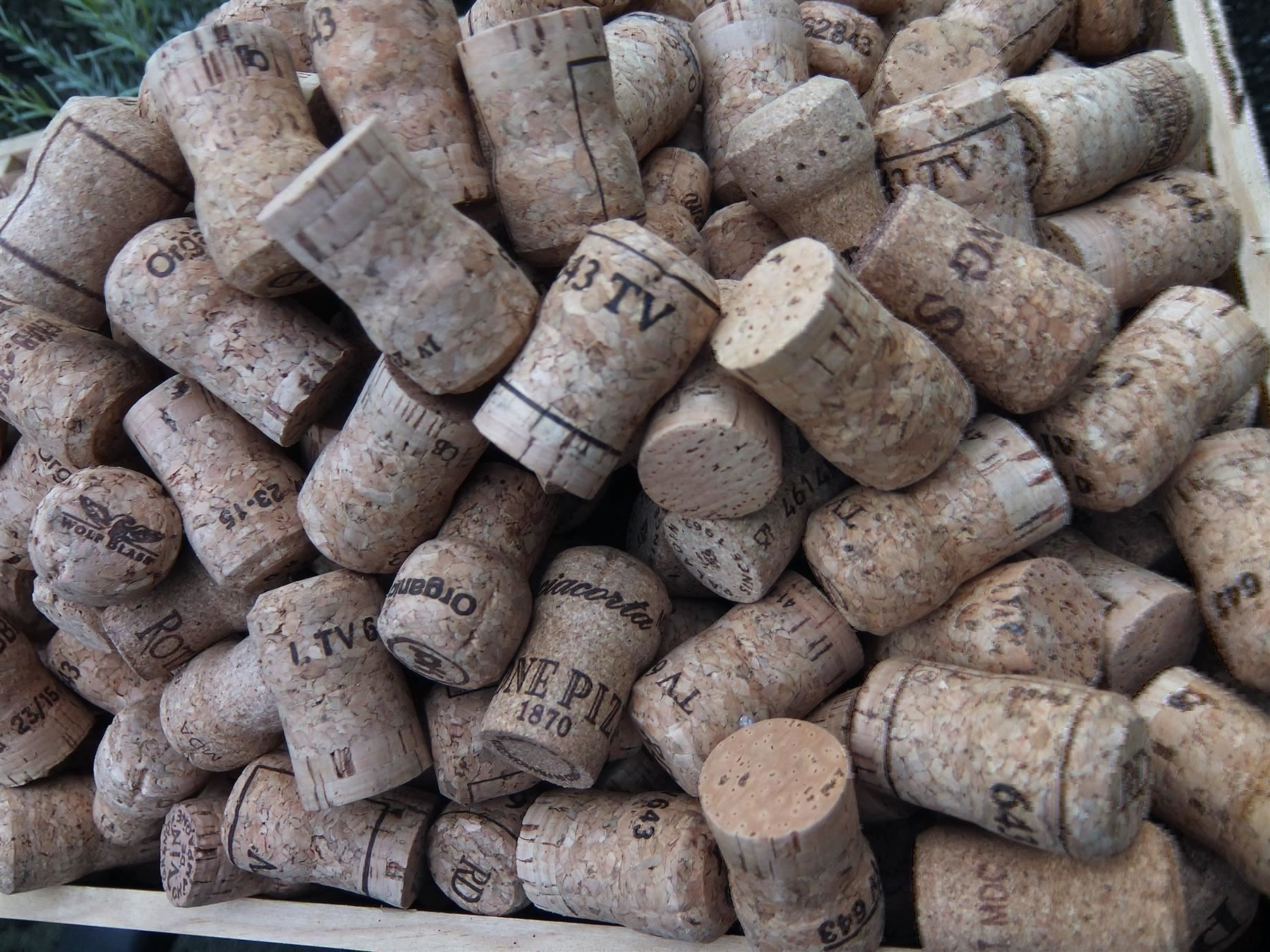 Flaschenöffner & -verschlüsse: Über 440 Champ./Prosecco Korken ca. 4 Kg – Gebraucht aus Wöschnau von Vinsale 2