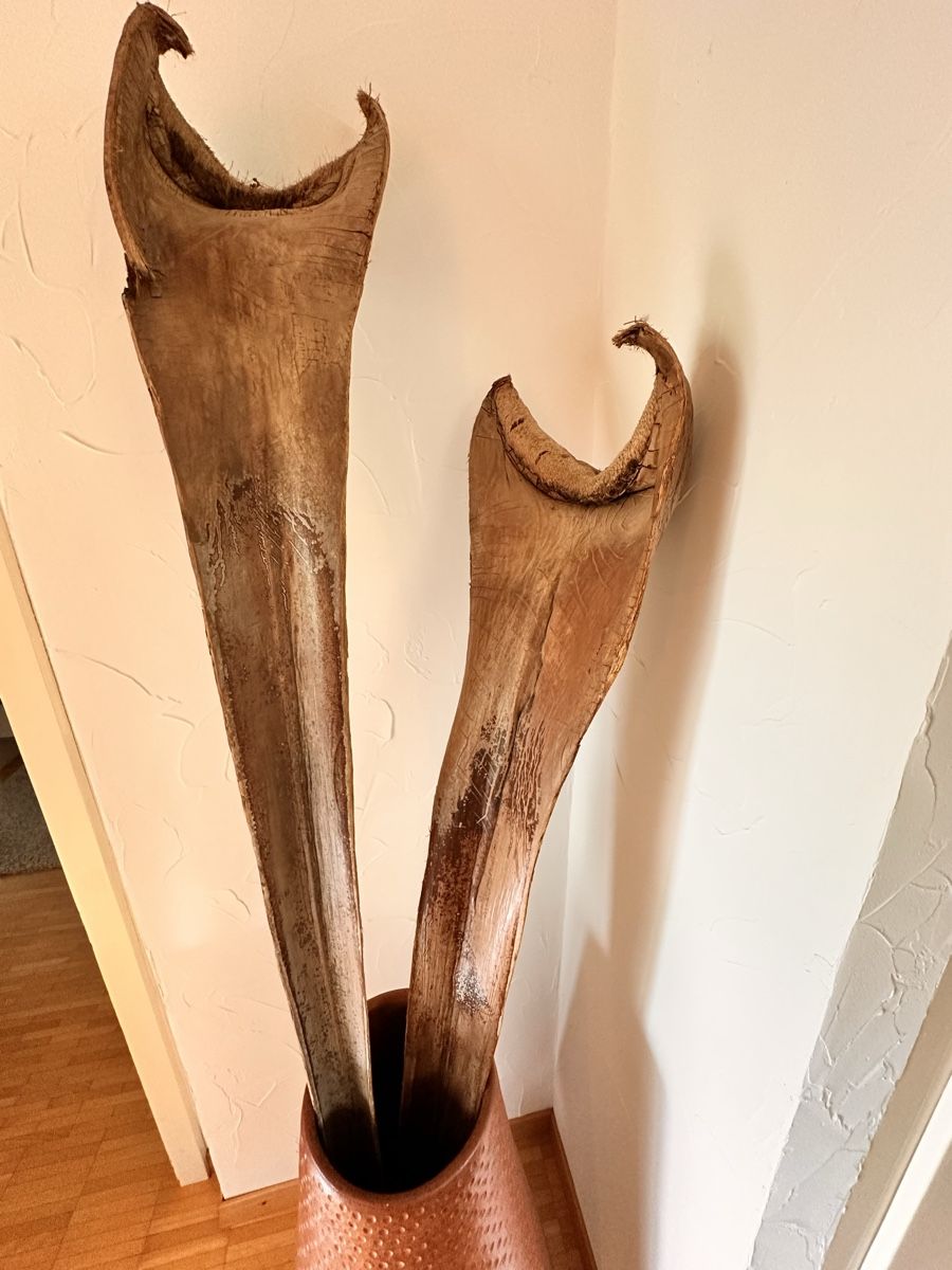 Vasi & Recipienti: Vase terre cuite 80cm – Usato da Villars-Tiercelin venduto da pava13 1