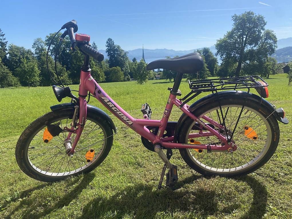 Biciclette: Kindervelo 20 Zoll Rücktritt – Usato da Richterswil venduto da Carambamba 1