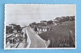 Rivaz - La Gare - Chemin de fer - Rebberge - 1950