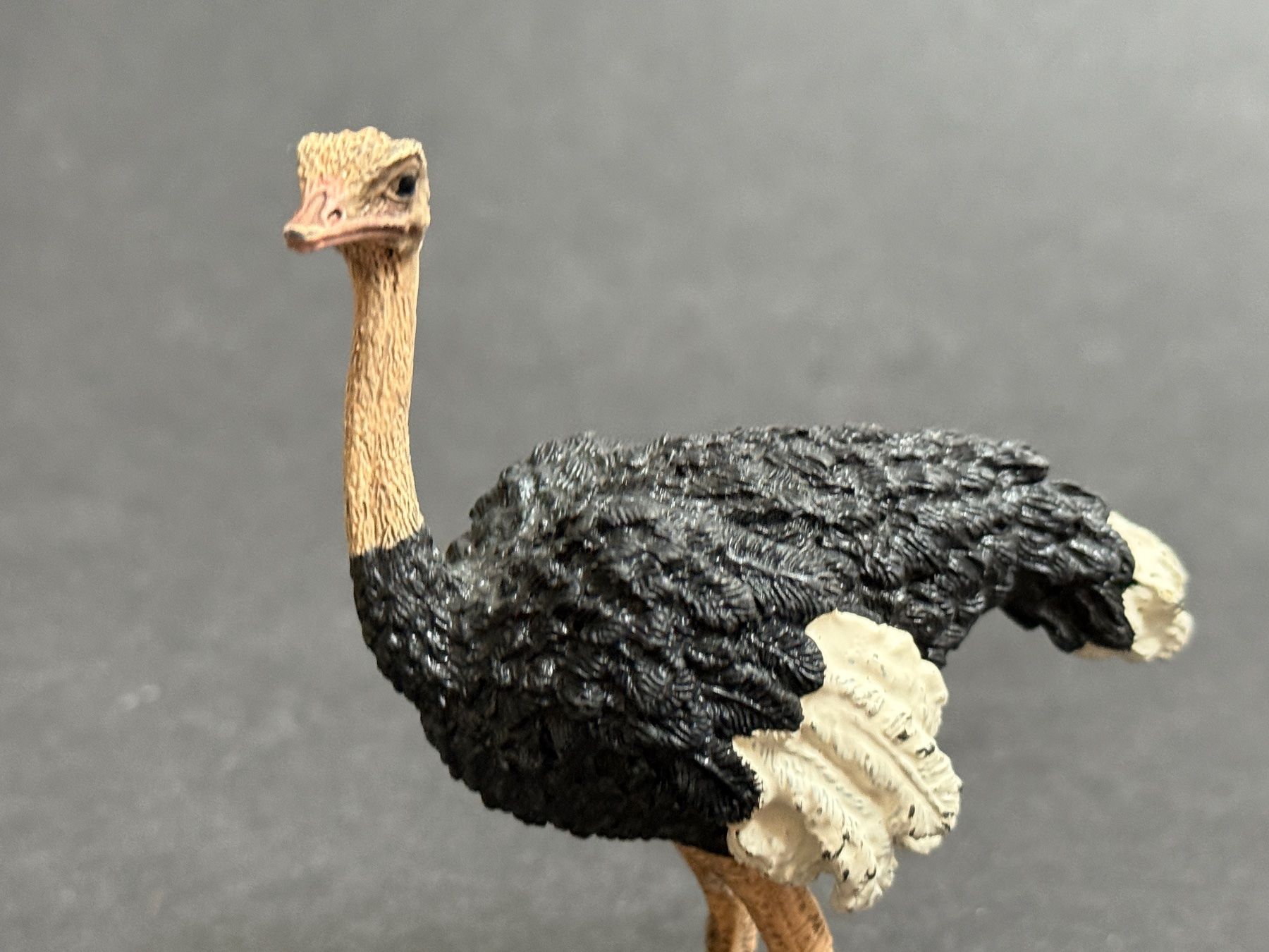 Schleich Statuette: Schleich Strauss Straussenmännchen – Usato da Ennetbaden venduto da mapa05 4
