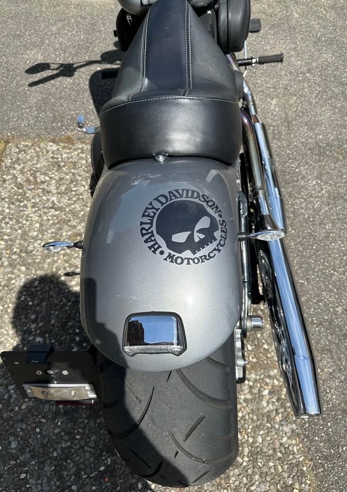 Harley-Davidson Altro: Harley Davidson FXSTB Jahrgang 2004 – Usato da Vordemwald venduto da Saeti 8