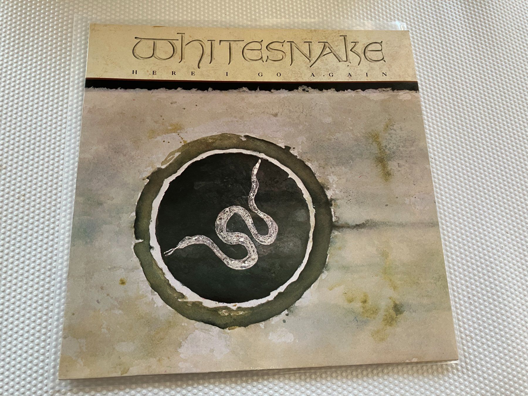 Dischi in vinile: Whitesnake – Usato da Aarwangen venduto da Jukebox3