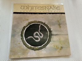 Whitesnake