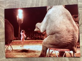 Circus Knie Foto 1980