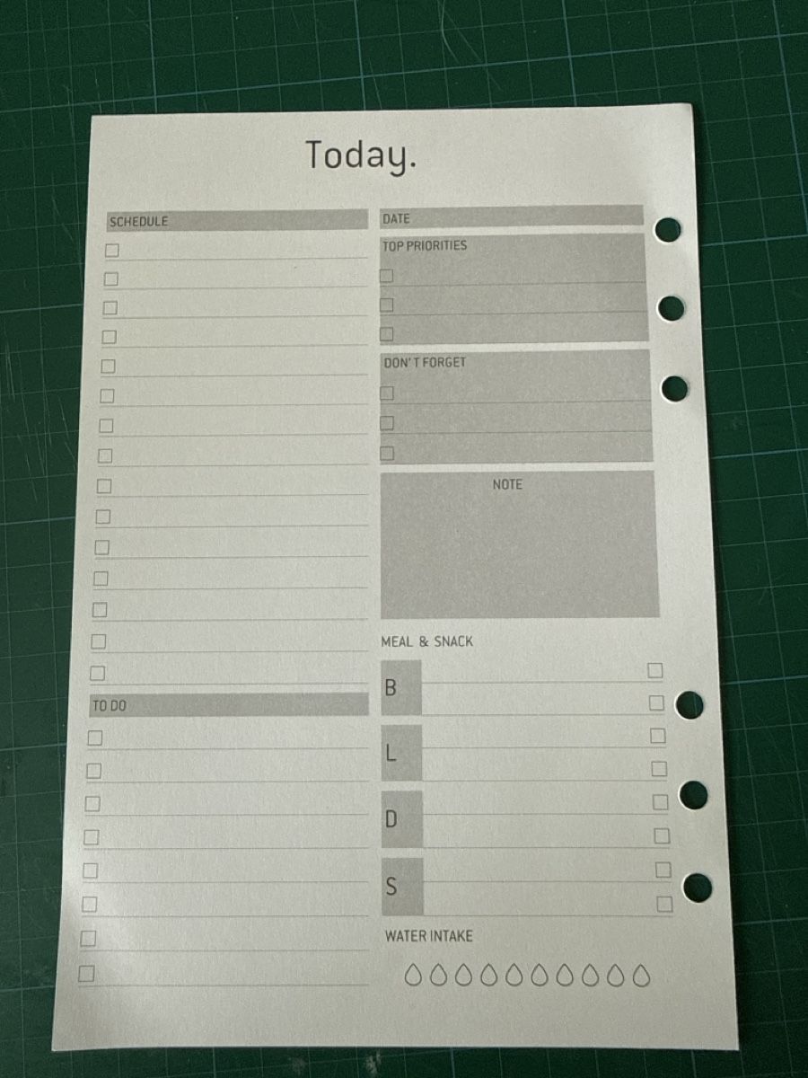 Calendari: Tagesplaner A5 undatiert  – Nuovo e nell'imballaggio originale da Riniken venduto da Chippie222000 1