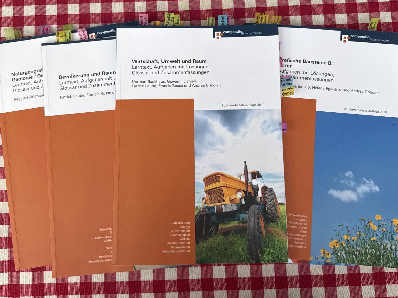 Libri: Passerelle Geografie Bücher 5 Stk – Usato da Ehrendingen venduto da nat_2j7q