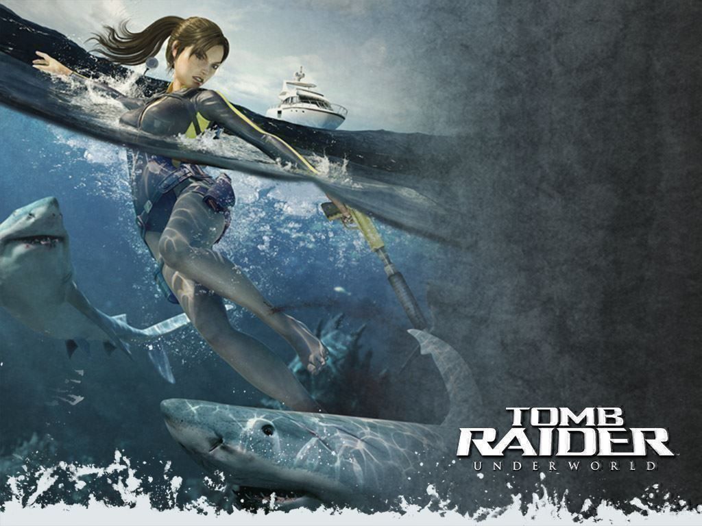 Nintendo Giochi: Tomb Raider Underworld Wii – Usato da Schüpfheim venduto da Games_Spielkonsolen 6
