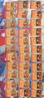 33 Pokémon Glumanda/Glutexo Karten Sammlung