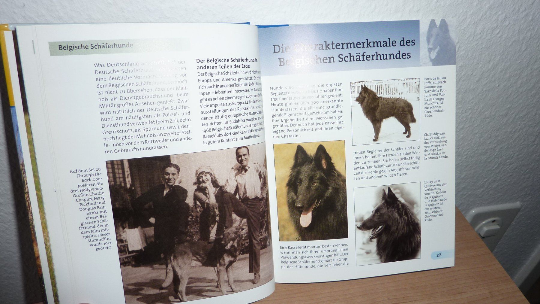 Livres: hundebuch  hunde – Neuf (Voir description) à Füllinsdorf par pmarkus 5