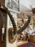 Steinbock Schädel Trophäe auf Holzschild, Vintage Deko 54
