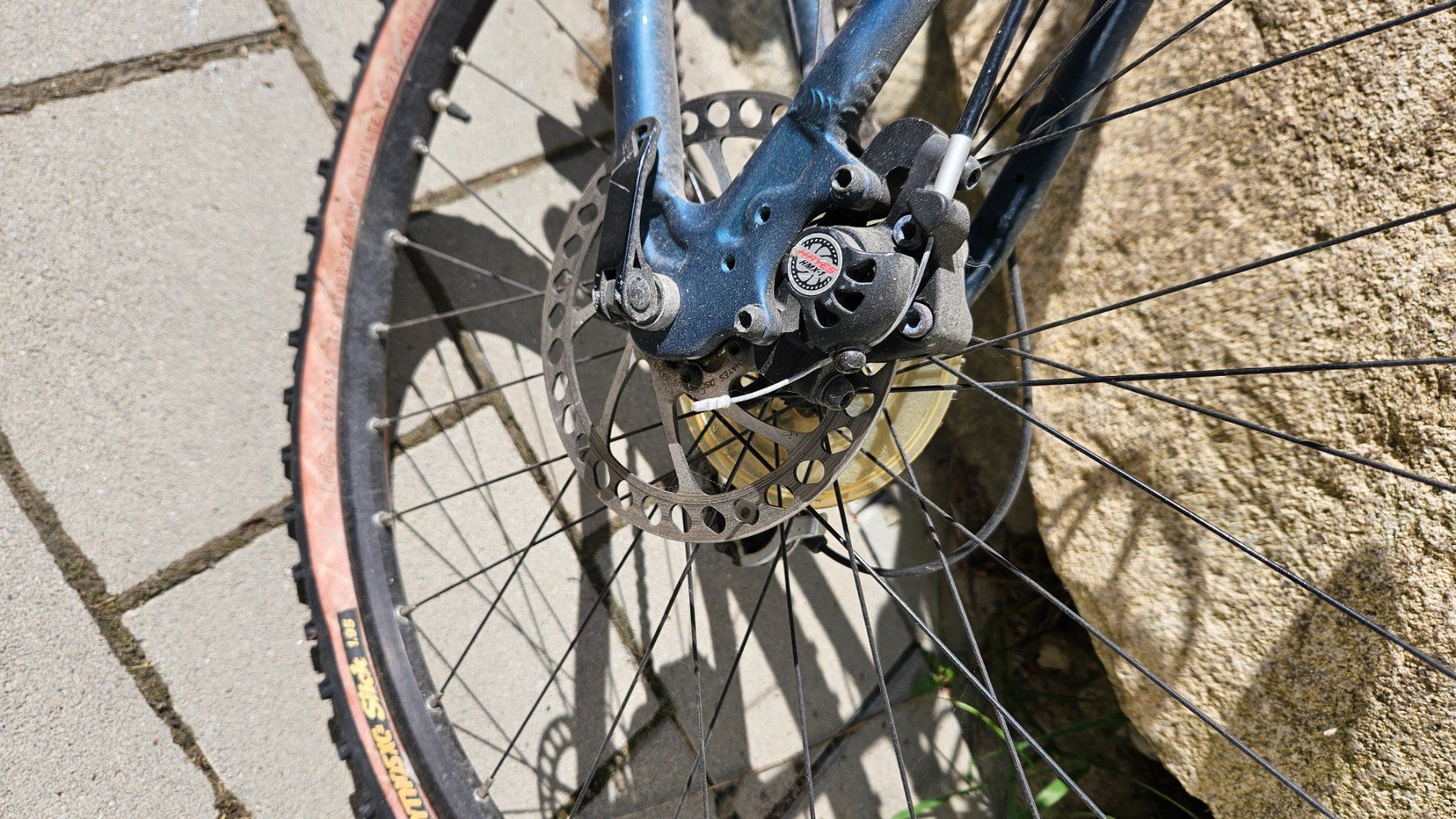 Wheeler Biciclette: WHEELER BIKE – Usato da Biel VS venduto da Basra 5