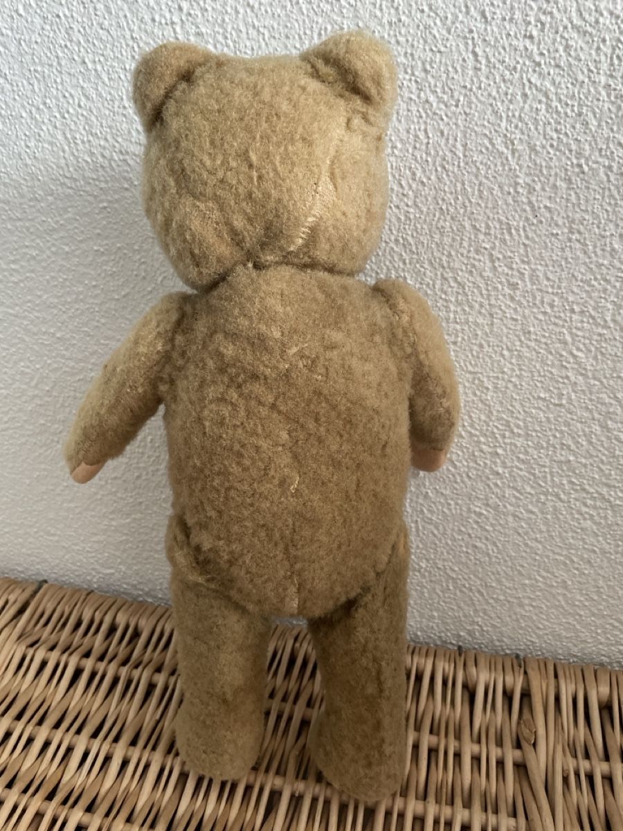 Giocattoli: Alter Teddy Bär – Usato da Emmenbrücke venduto da miz_9kht 3