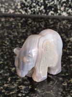 Achat Druse Bär