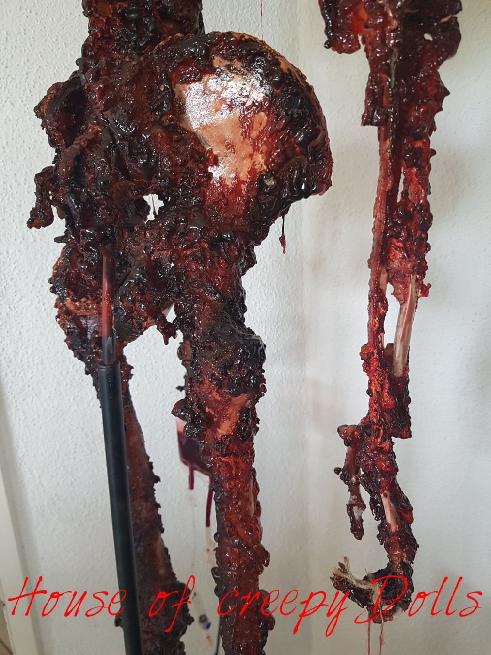Tutte le decorazioni: HALLOWEEN / HORROR SKELETT FRED – Nuovo e nell'imballaggio originale da Root venduto da LifestyleAccessoires 4