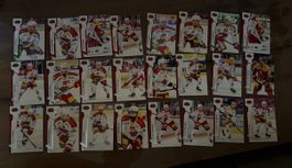 Sportzoo EHC Biel Serie 1 24/25