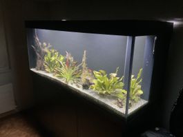 Aquarium Juwel Rio 450 LED