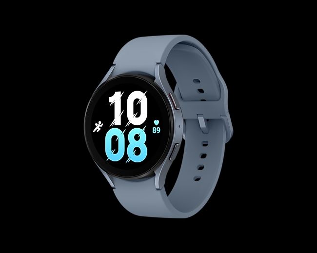 Samsung Smartwatch: Samsung Galaxy Watch 5 LTE 44mm – Gebraucht aus Aarau von