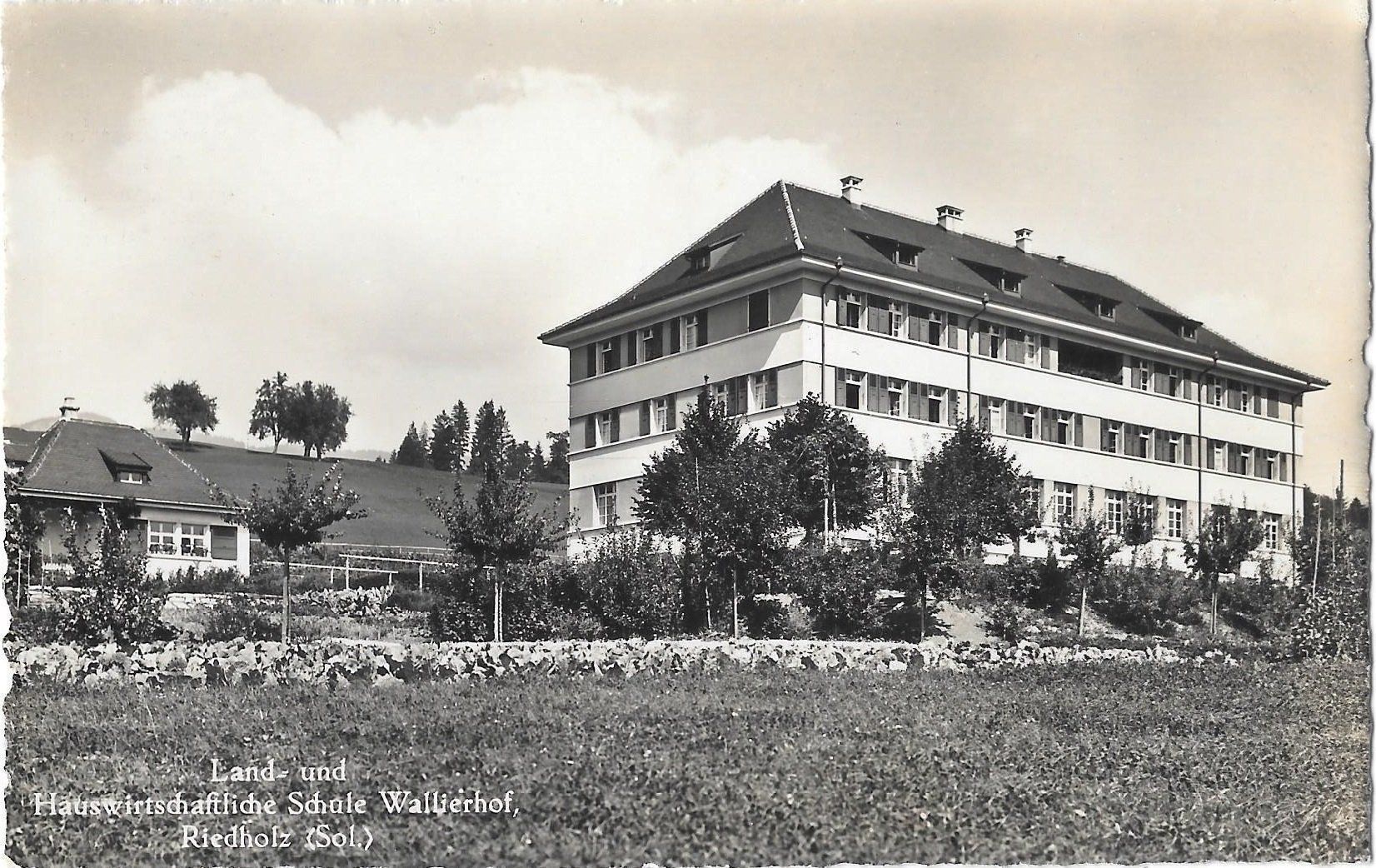 Cartoline postali: Riedholz Hauswirtschaftschule Wallierhof – Usato da Olten venduto da clotaldi