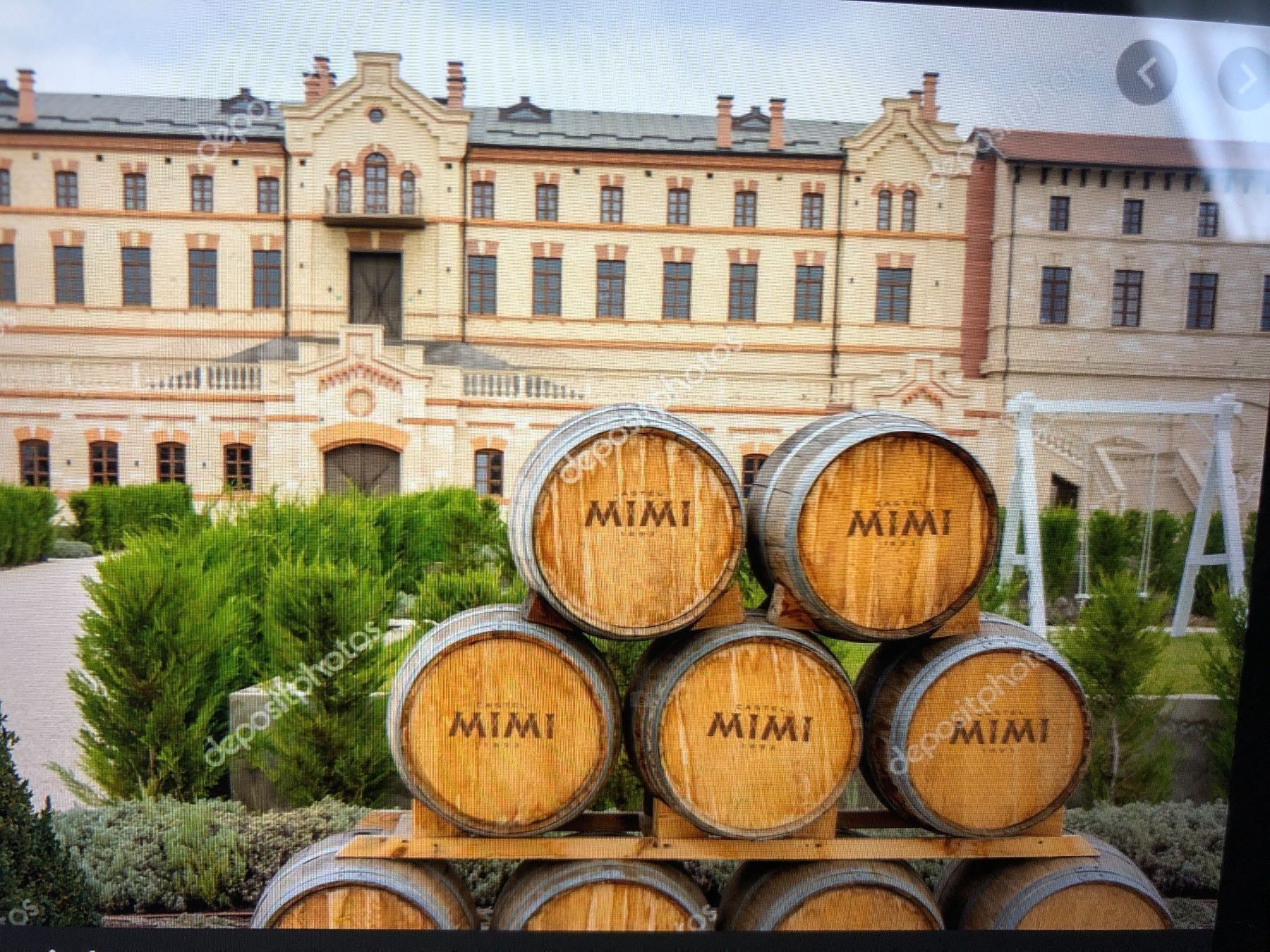 Vino: Castel MIMI,EISWEIN,Moldova,Riesling2018 – Nuovo e nell'imballaggio originale da Wald ZH venduto da mlnt 8