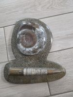 Ammonit und Belemnit Fossil auf Gestein 