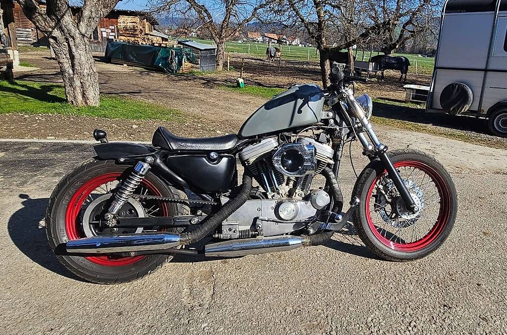 Harley-Davidson Chopper: Umgebaute Sporti 883 – Usato da Gohl venduto da YSysoiuz 1