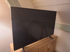 Fernseher LG 49 Zoll