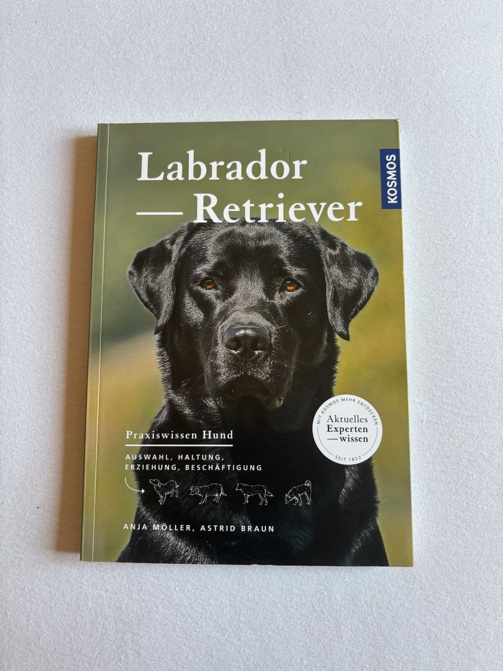 Livres: Labrador Retriver Buch – D'occasion à Luzern par julopaji