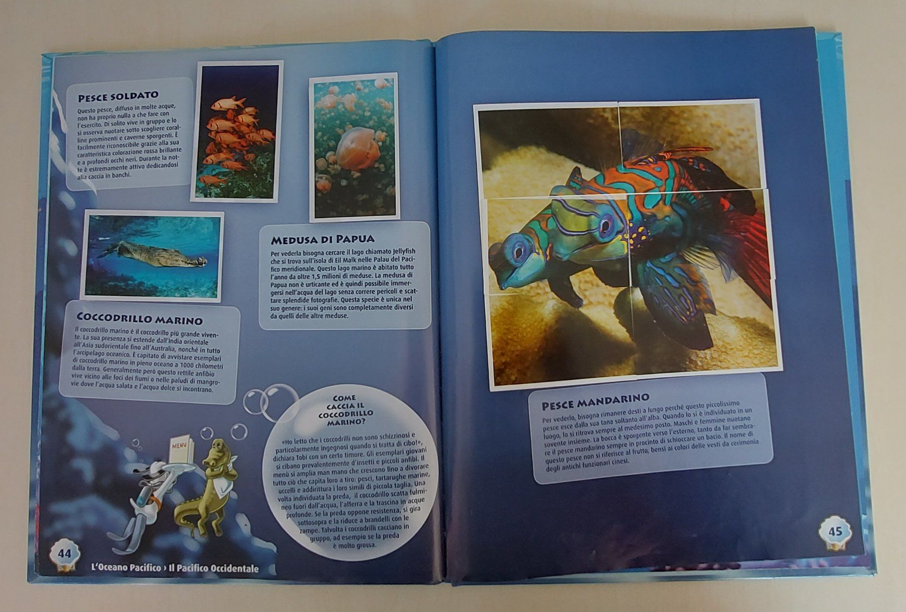 Migros Album: Ocean Mania, album completo – Usato da Ittigen venduto da giallosole 2