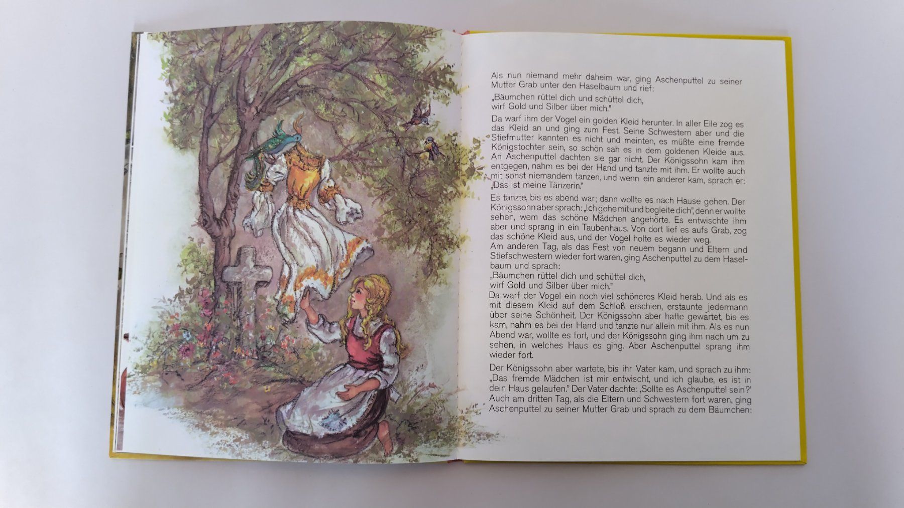 Bücher: Aschenputtel - Bilderbuch von Lore Hummel ab Fr. 8.- – Gebraucht aus Bellach von JingleJerry 4