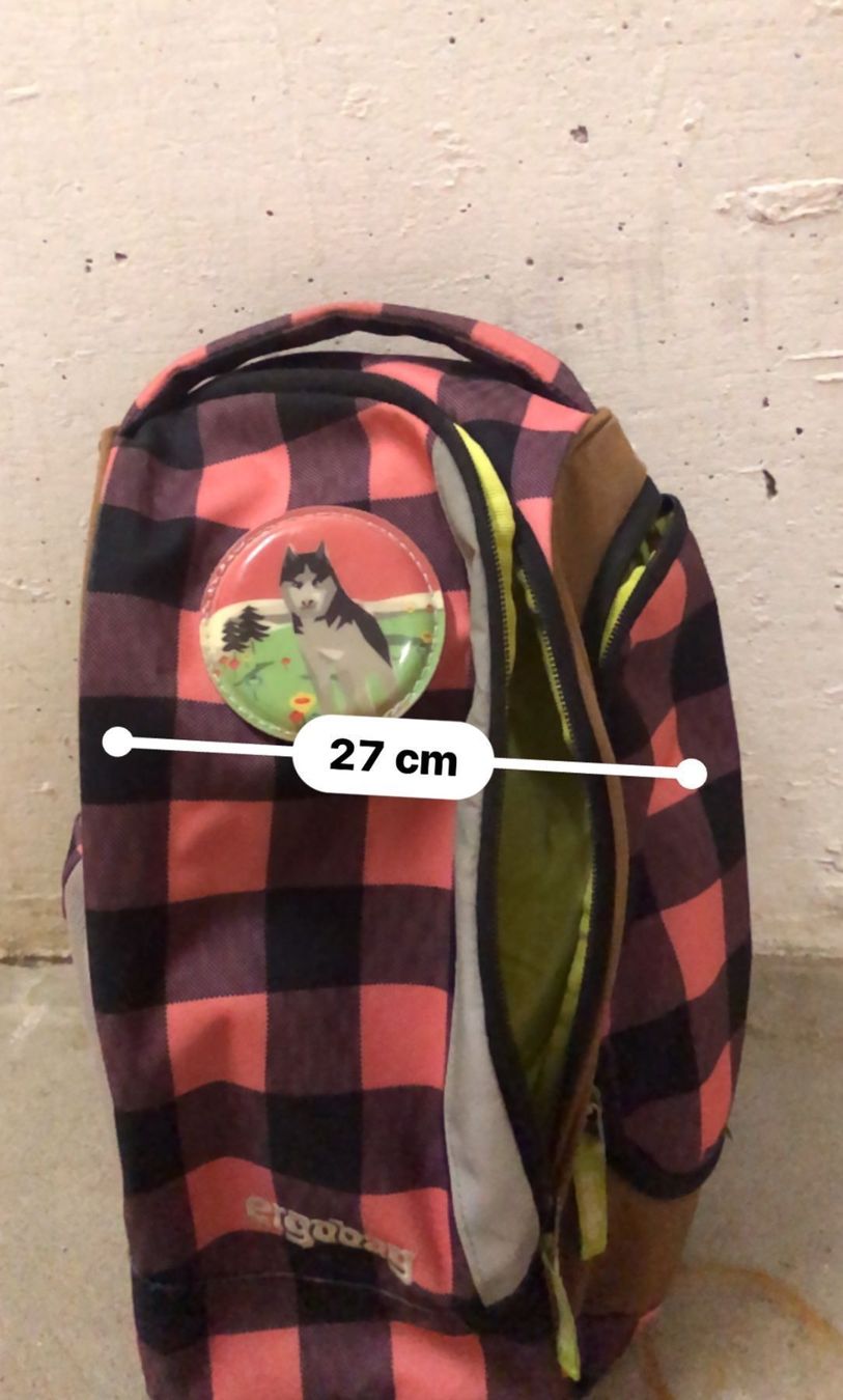 Sacs & sacs à dos: Rucksack ergobag – D'occasion à Küssnacht am Rigi par ciucchino