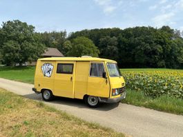 Wohnmobil Peugeot J9