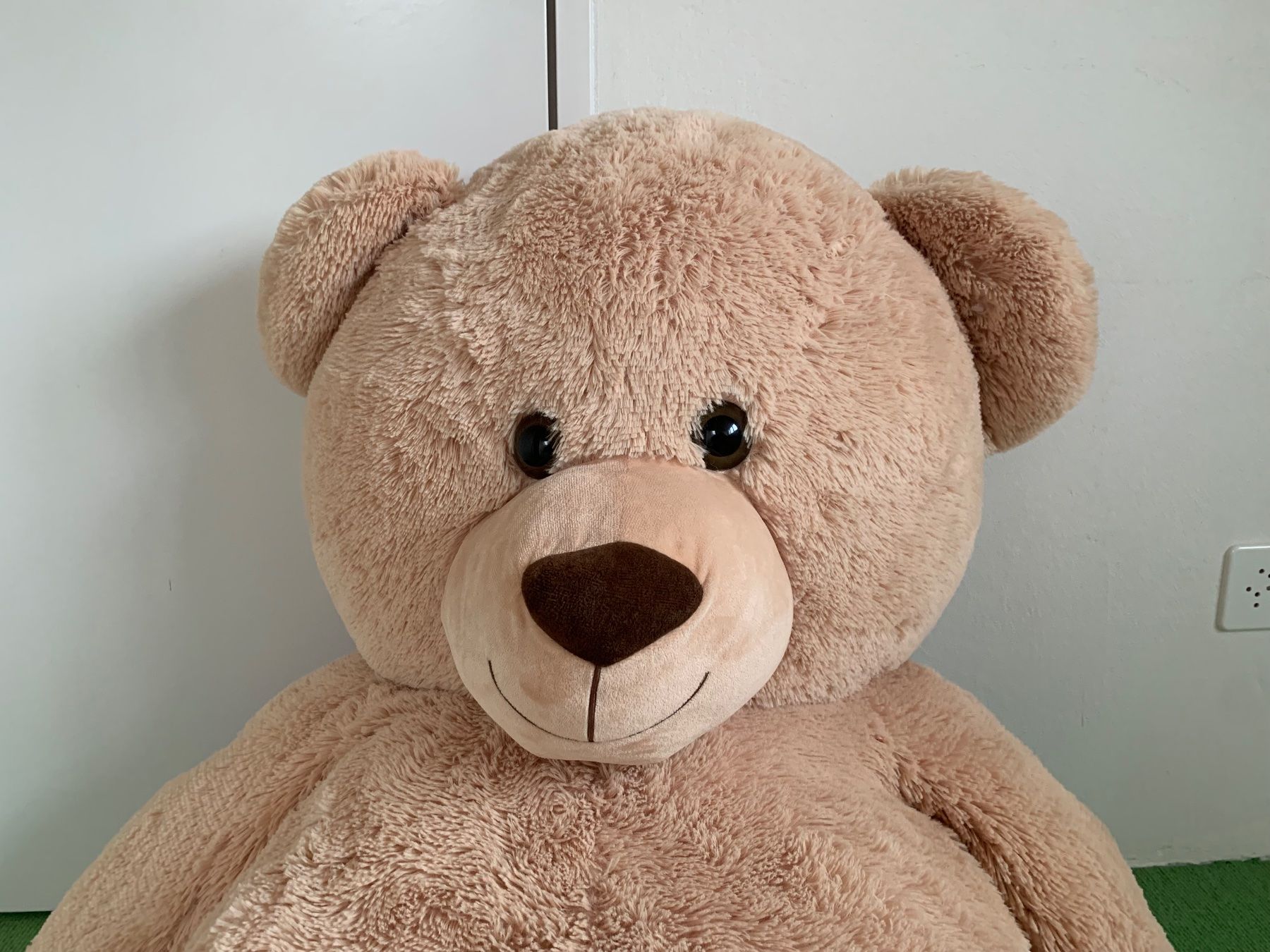 Giocattoli: Riesen-Teddybär – Usato da Zürich venduto da PascaleC 2