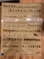 Xrare planche mouches Gallica résine Pezon Michel