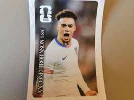 Panini Bild Antonee Robinson (USA) 2026