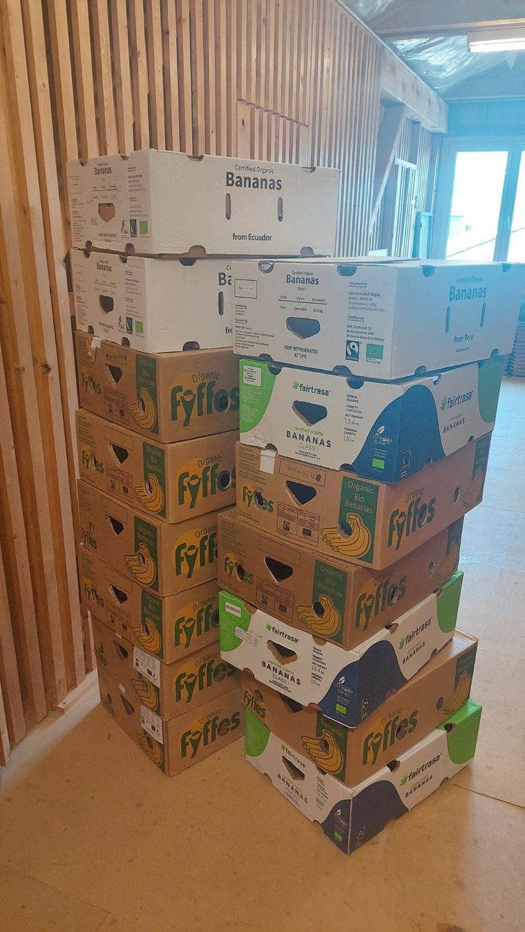 Cartoni: 15 Bananen Kartons – Usato da Schmerikon venduto da AB92