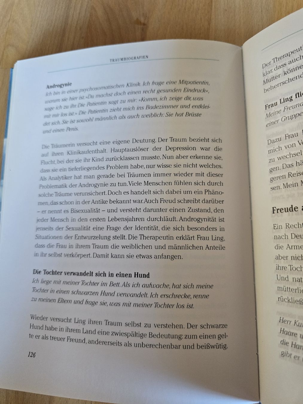 Libri: Das grosse Buch vom Träumen  – Usato da Niederneunforn venduto da slowdown03 3