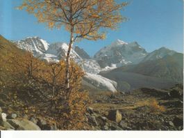 Piz Bernina,  Piz Roseg 1990