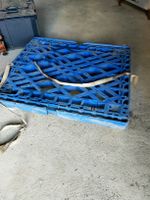 Transportwagen blau Kunststoff 