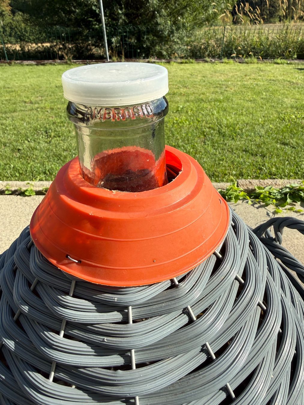 Flaschen: Korbflasche mit Plastik 23 l – Gebraucht aus Worb von DomeC0 1