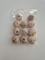 10er Set Holzperlen, beige-braun, Basteln, Schmuck!